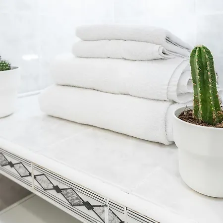 Appartement Monko Cactus *