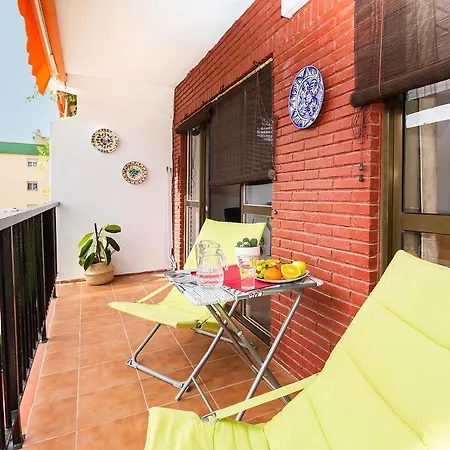 Monko Cactus Torremolinos