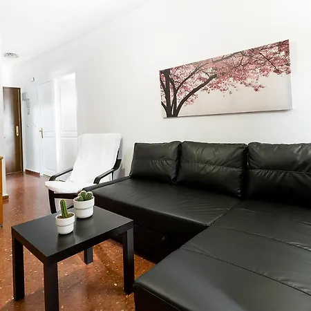 Monko Cactus * Torremolinos