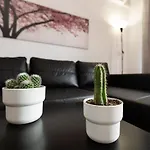 Monko Cactus *