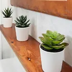 Monko Cactus Torremolinos
