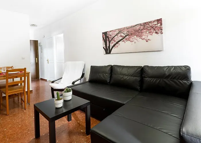 Monko Cactus * 托雷莫利诺斯