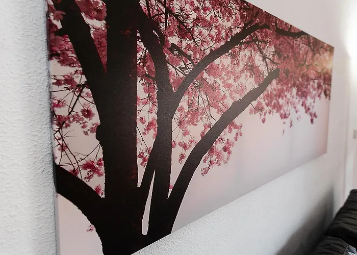 Monko Cactus * 托雷莫利诺斯