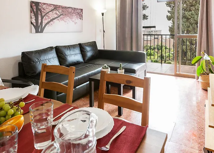 Monko Cactus 托雷莫利诺斯